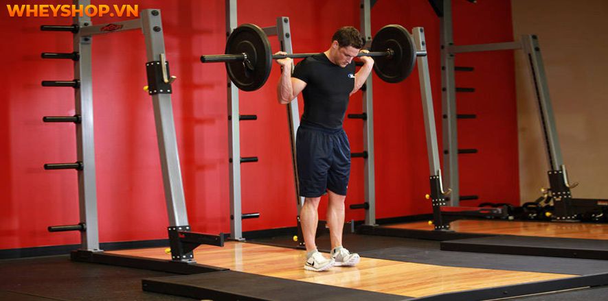Nếu bạn đang tìm bài tập bắp chân cho nam tại nhà hiệu quả thì hãy cùng WheyShop tham khảo chi tiết 12 bài tập bắp chân cho nam tại nhà qua bài...
