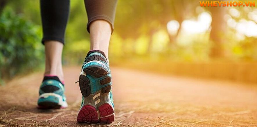 Nếu bạn đang tìm bài tập bắp chân cho nam tại nhà hiệu quả thì hãy cùng WheyShop tham khảo chi tiết 12 bài tập bắp chân cho nam tại nhà qua bài...