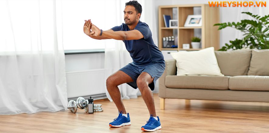 Nếu bạn đang tìm bài tập bắp chân cho nam tại nhà hiệu quả thì hãy cùng WheyShop tham khảo chi tiết 12 bài tập bắp chân cho nam tại nhà qua bài...