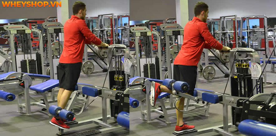 Nếu bạn đang tìm bài tập bắp chân cho nam tại nhà hiệu quả thì hãy cùng WheyShop tham khảo chi tiết 12 bài tập bắp chân cho nam tại nhà qua bài...