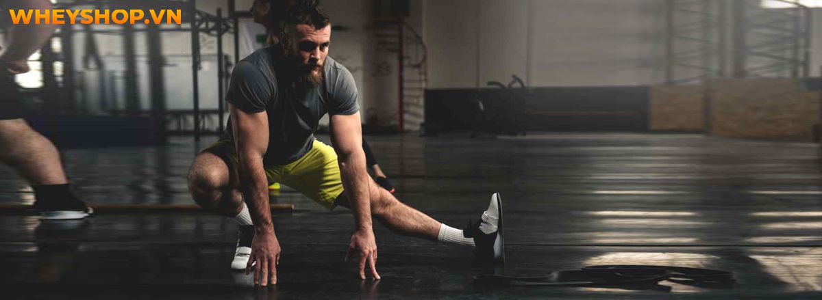 Nếu bạn đang băn khoăn trong việc bắt đầu tập gym nam thì hãy cùng tham khảo cùng WheyShop hướng dẫn tập gym nam cơ bản A-Z ngay nhé..