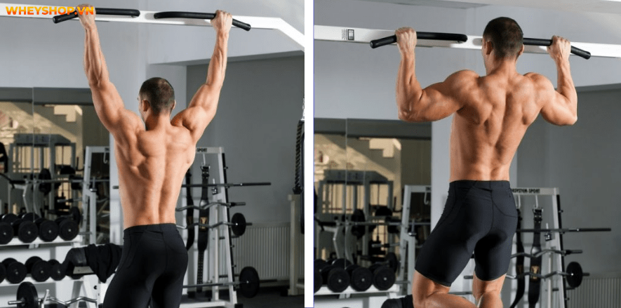 Tổng hợp 30 bài tập LƯNG XÔ cho nam giới tốt nhất mọi thời đại, hỗ trợ phát triển cơ lưng hiệu quả, đơn giản dễ dàng thực hiện...