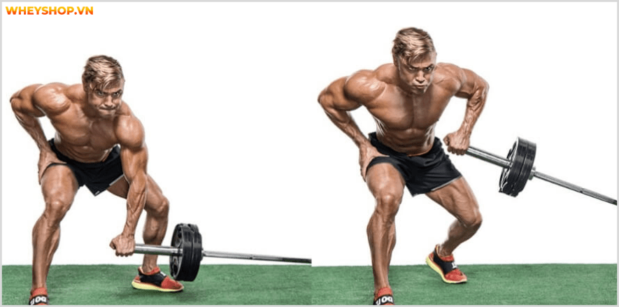 Tổng hợp 30 bài tập LƯNG XÔ cho nam giới tốt nhất mọi thời đại, hỗ trợ phát triển cơ lưng hiệu quả, đơn giản dễ dàng thực hiện...