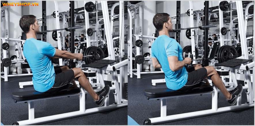 Tổng hợp 30 bài tập LƯNG XÔ cho nam giới tốt nhất mọi thời đại, hỗ trợ phát triển cơ lưng hiệu quả, đơn giản dễ dàng thực hiện...