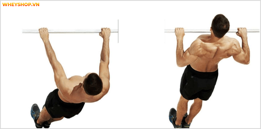 Tổng hợp 30 bài tập LƯNG XÔ cho nam giới tốt nhất mọi thời đại, hỗ trợ phát triển cơ lưng hiệu quả, đơn giản dễ dàng thực hiện...