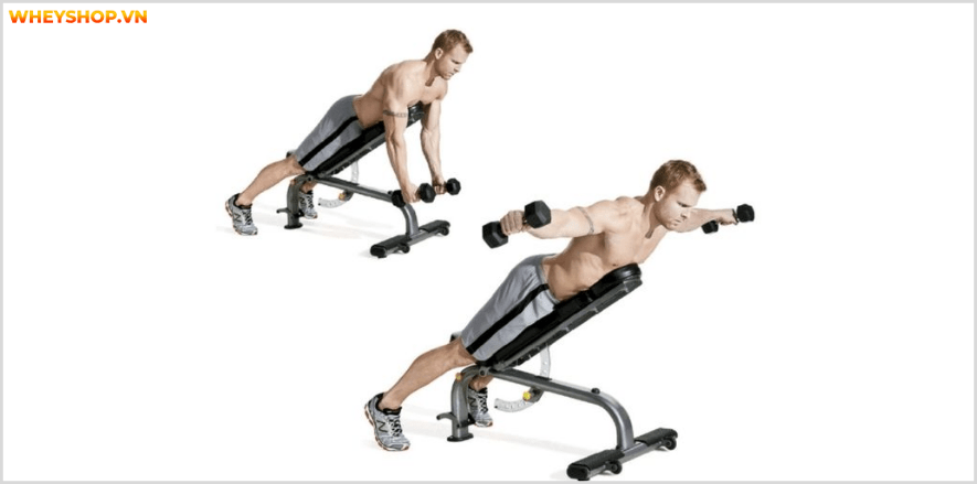 Tổng hợp 30 bài tập LƯNG XÔ cho nam giới tốt nhất mọi thời đại, hỗ trợ phát triển cơ lưng hiệu qu��, đơn giản dễ dàng thực hiện...