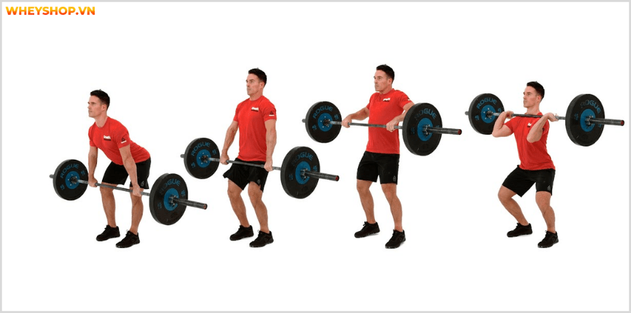 Tổng hợp 30 bài tập LƯNG XÔ cho nam giới tốt nhất mọi thời đại, hỗ trợ phát triển cơ lưng hiệu quả, đơn giản dễ dàng thực hiện...