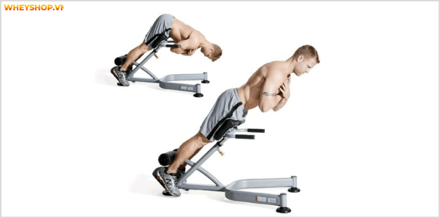 Tổng hợp 30 bài tập LƯNG XÔ cho nam giới tốt nhất mọi thời đại, hỗ trợ phát triển cơ lưng hiệu quả, đơn giản dễ dàng thực hiện...