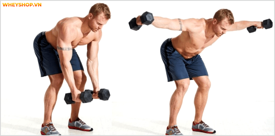 Tổng hợp 30 bài tập LƯNG XÔ cho nam giới tốt nhất mọi thời đại, hỗ trợ phát triển cơ lưng hiệu quả, đơn giản dễ dàng thực hiện...