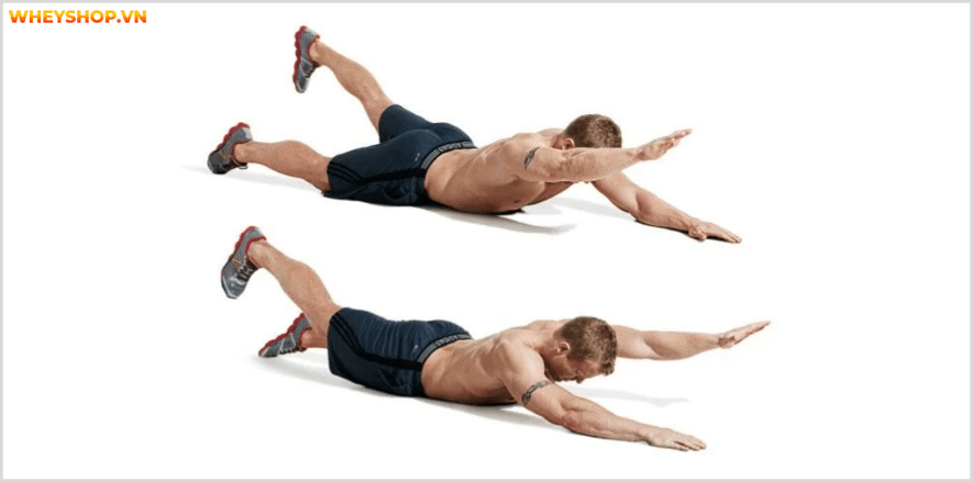 Tổng hợp 30 bài tập LƯNG XÔ cho nam giới tốt nhất mọi thời đại, hỗ trợ phát triển cơ lưng hiệu quả, đơn giản dễ dàng thực hiện...