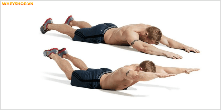 Tổng hợp 30 bài tập LƯNG XÔ cho nam giới tốt nhất mọi thời đại, hỗ trợ phát triển cơ lưng hiệu quả, đơn giản dễ dàng thực hiện...