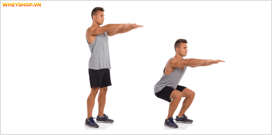 Tổng hợp 30 bài tập LƯNG XÔ cho nam giới tốt nhất mọi thời đại, hỗ trợ phát triển cơ lưng hiệu quả, đơn giản dễ dàng thực hiện...