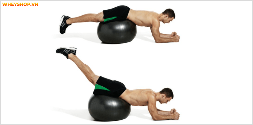 Tổng hợp 30 bài tập LƯNG XÔ cho nam giới tốt nhất mọi thời đại, hỗ trợ phát triển cơ lưng hiệu quả, đơn giản dễ dàng thực hiện...