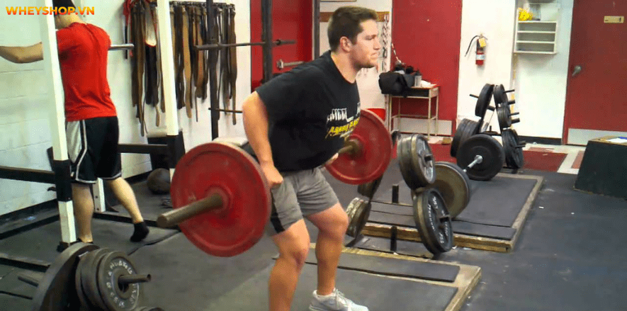 Tổng hợp 30 bài tập LƯNG XÔ cho nam giới tốt nhất mọi thời đại, hỗ trợ phát triển cơ lưng hiệu quả, đơn giản dễ dàng thực hiện...