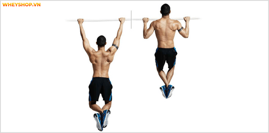 Tổng hợp 30 bài tập LƯNG XÔ cho nam giới tốt nhất mọi thời đại, hỗ trợ phát triển cơ lưng hiệu quả, đơn giản dễ dàng thực hiện...