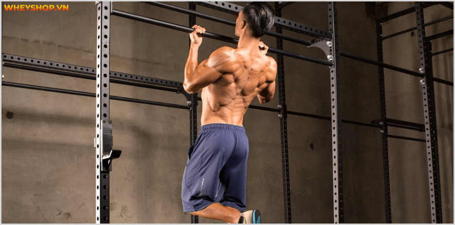 Tổng hợp 30 bài tập LƯNG XÔ cho nam giới tốt nhất mọi thời đại, hỗ trợ phát triển cơ lưng hiệu quả, đơn giản dễ dàng thực hiện...