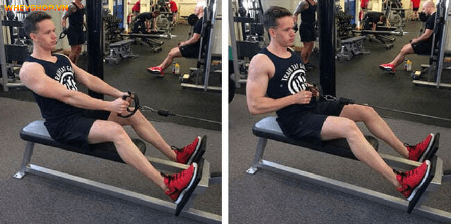 Tổng hợp 30 bài tập LƯNG XÔ cho nam giới tốt nhất mọi thời đại, hỗ trợ phát triển cơ lưng hiệu quả, đơn giản dễ dàng thực hiện...