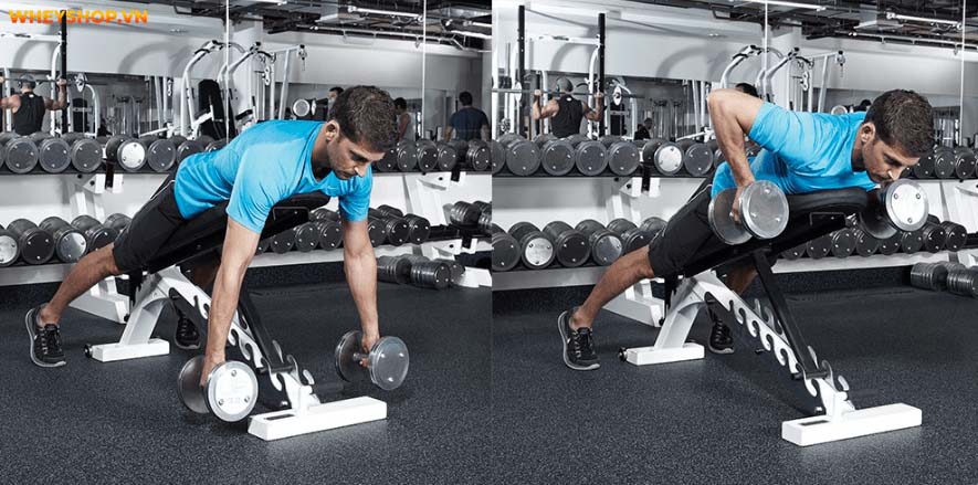 Tổng hợp 30 bài tập LƯNG XÔ cho nam giới tốt nhất mọi thời đại, hỗ trợ phát triển cơ lưng hiệu quả, đơn giản dễ dàng thực hiện...