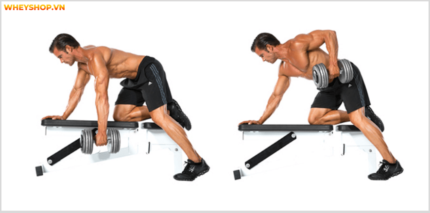 Tổng hợp 30 bài tập LƯNG XÔ cho nam giới tốt nhất mọi thời đại, hỗ trợ phát triển cơ lưng hiệu quả, đơn giản dễ dàng thực hiện...