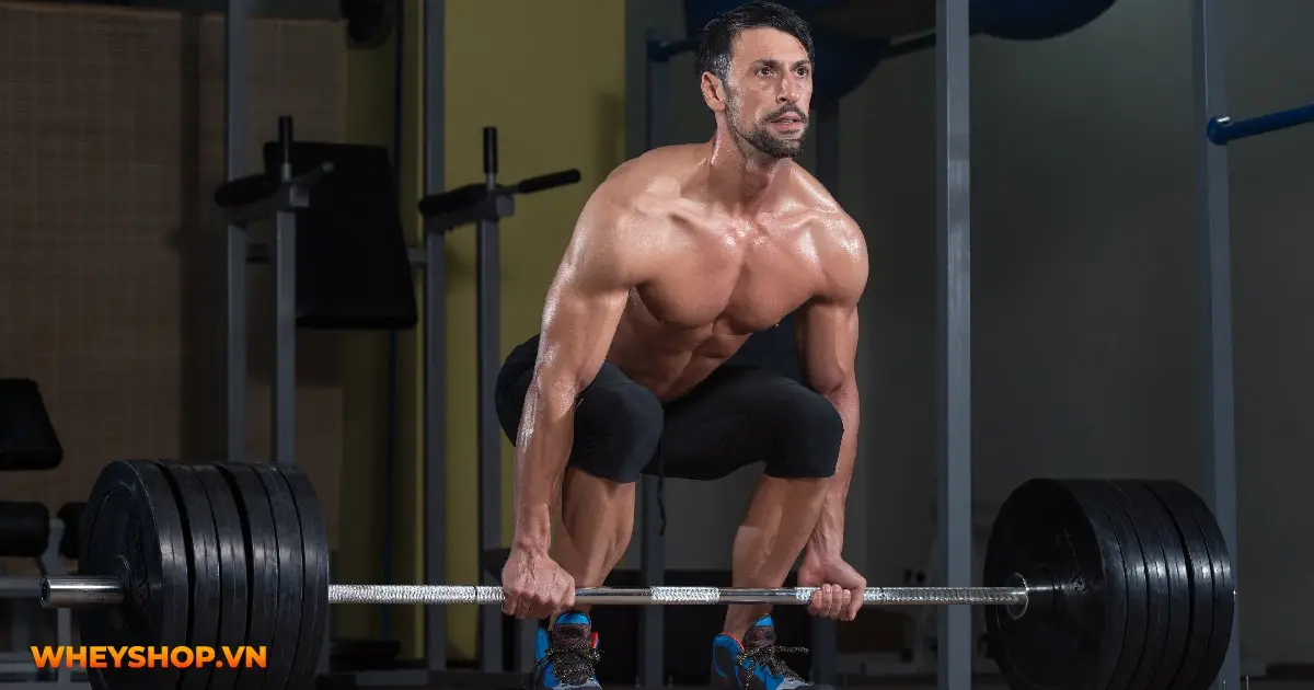 cac-bai-tap-lung-xo-cho-nguoi-moi-bat-dau-03-min