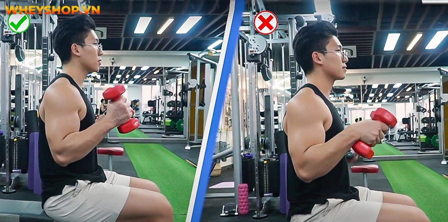 Cùng WheyShop và Quán quân Men Sport Physique Tunny Nguyễn tổng hợp và chia sẻ những bài tập tay toàn diện dành cho người mới ...