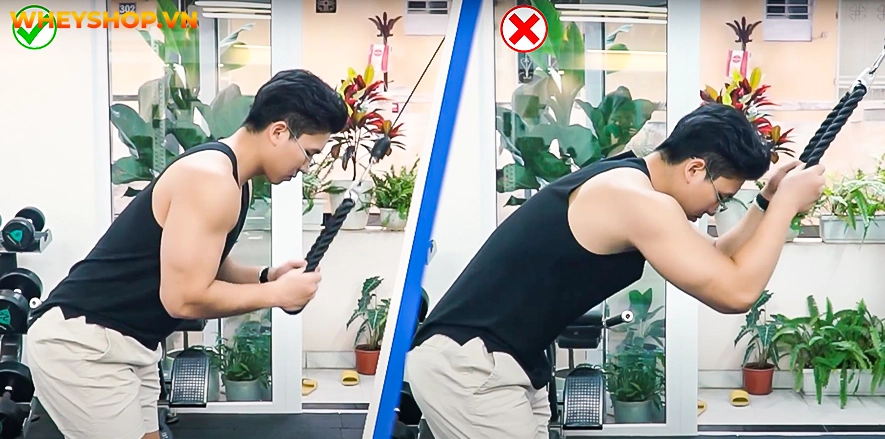 Cùng WheyShop và Quán quân Men Sport Physique Tunny Nguyễn tổng hợp và chia sẻ những bài tập tay toàn diện dành cho người mới ...