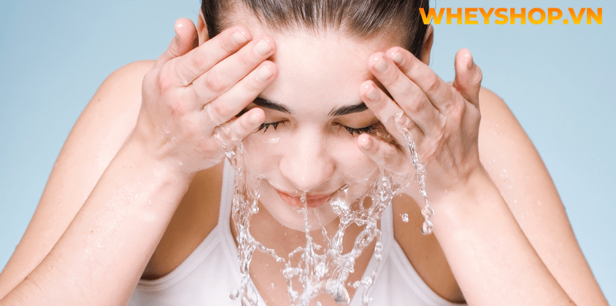 Nếu bạn đang băn khoăn về Rượu táo mèo có tác dụng gì thì hãy cùng WheyShop tham khảo chi tiết bài viết ngay sau đây để...