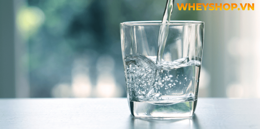 Nếu bạn đang băn khoăn về Rượu táo mèo có tác dụng gì thì hãy cùng WheyShop tham khảo chi tiết bài viết ngay sau đây để...