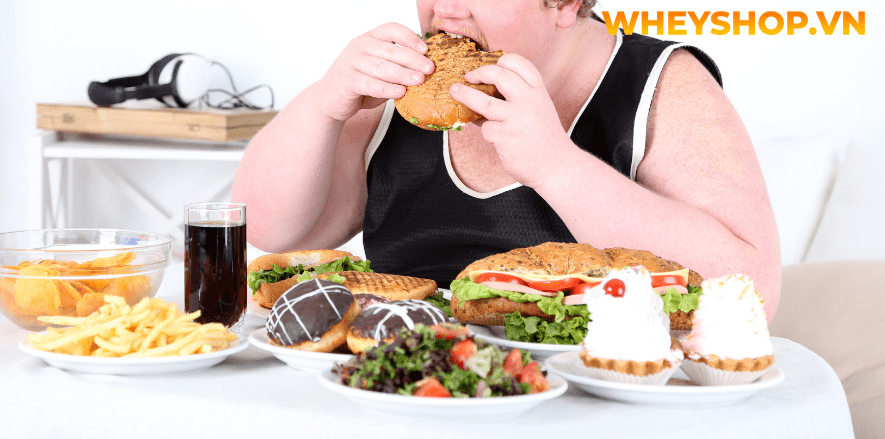 Nếu bạn đang băn khoăn về Rượu táo mèo có tác dụng gì thì hãy cùng WheyShop tham khảo chi tiết bài viết ngay sau đây để...