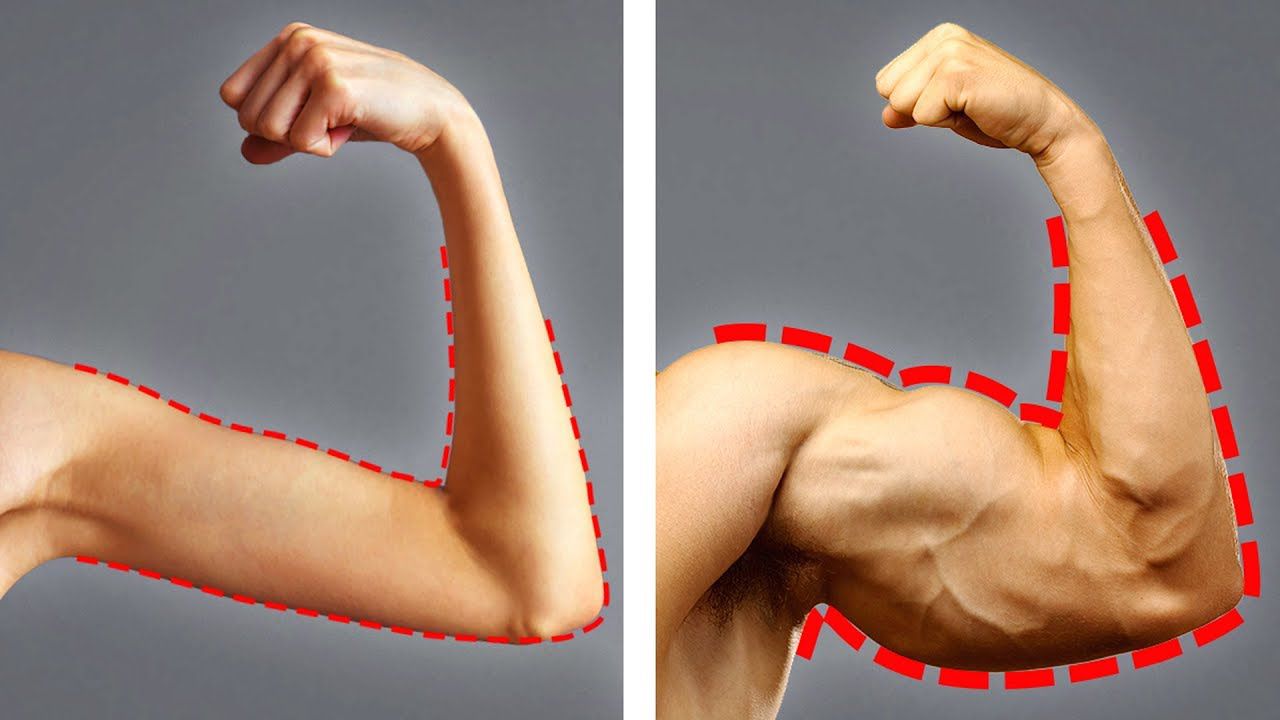 9 acid amin thiết yếu