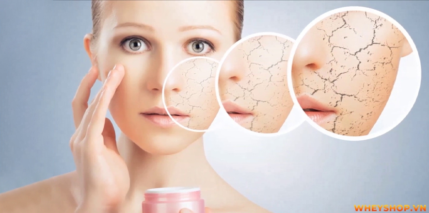 Để bắt đầu chăm sóc da, chúng ta cần biết các loại da cơ bản và các bước chăm sóc cho từng loại da. Bài viết này WheyShop sẽ giới thiệu đến cho các bạn những...