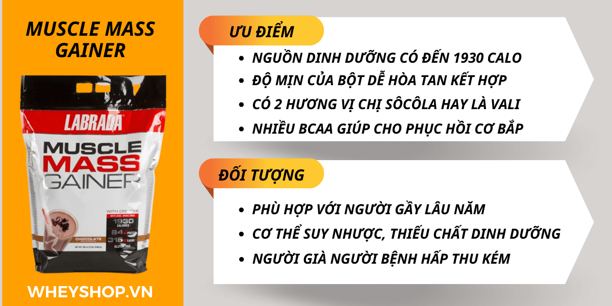Hiện nay trên thị trường các loại sữa tăng cân hiệu quả cho người gầy rất đa dạng. WheyShop sẽ mách bạn cách lựa chọn một sản phẩm sữa tăng cân phù hợp với cơ thể.... 