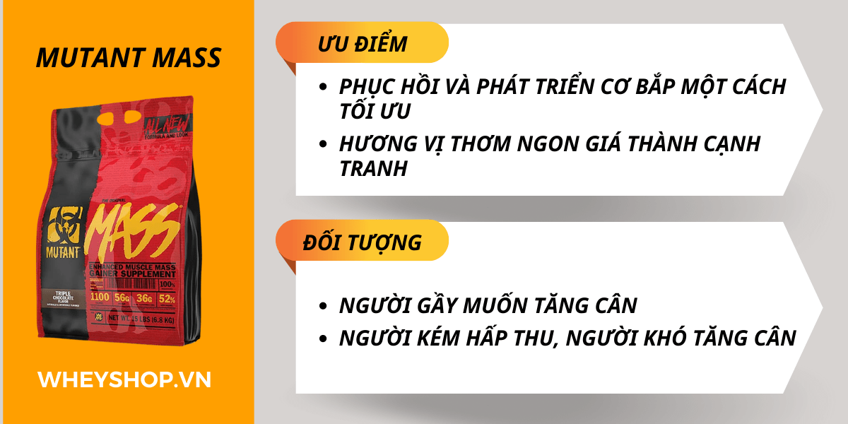 Hiện nay trên thị trường các loại sữa tăng cân hiệu quả cho người gầy rất đa dạng. WheyShop sẽ mách bạn cách lựa chọn một sản phẩm sữa tăng cân phù hợp với cơ thể....