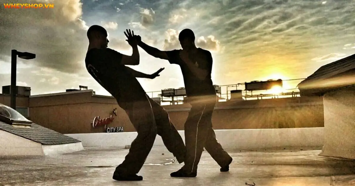 cac-loai-vo-thuat-pho-bien-dang-co-tai-viet-nam