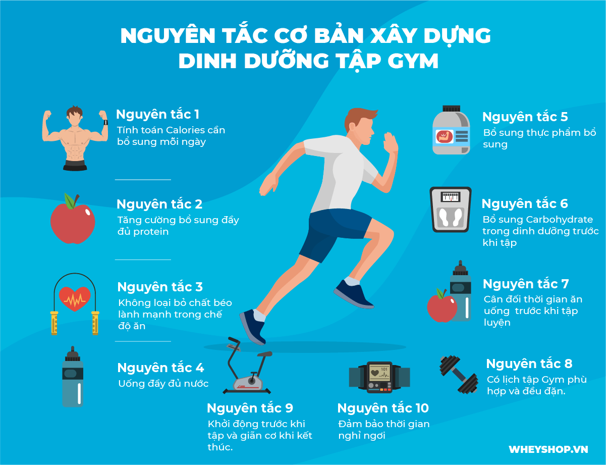 Cùng Dinh Dưỡng Thể Hình tìm hiểu chuyển sâu hơn về những nguyên tắc quan trọng trong dinh dưỡng tập gym yêu cầu những gì đối với người mới tập luyện nhé...