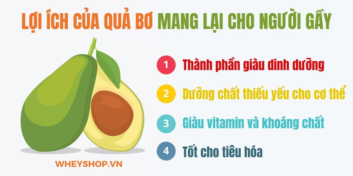 Nếu bạn đang băn khoăn tìm cách ăn bơ để tăng cân thì hãy cùng WheyShop tham khảo chi tiết bài viết ngay sau đây nhé...