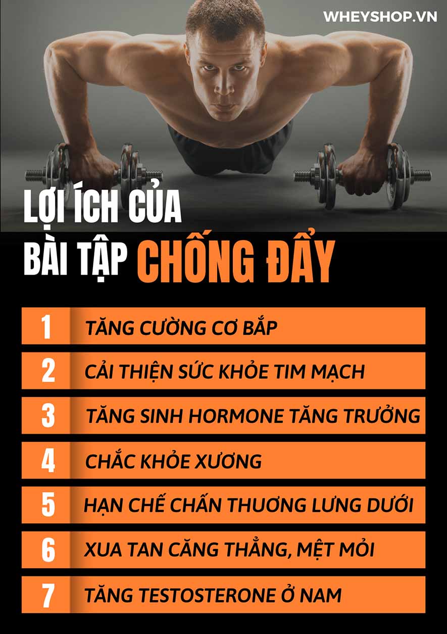 Nếu bạn đang tìm cách chống đẩy cho người mới tập thì hãy cùng WheyShop tham khảo chi tiết bài viết ngay sau đây...