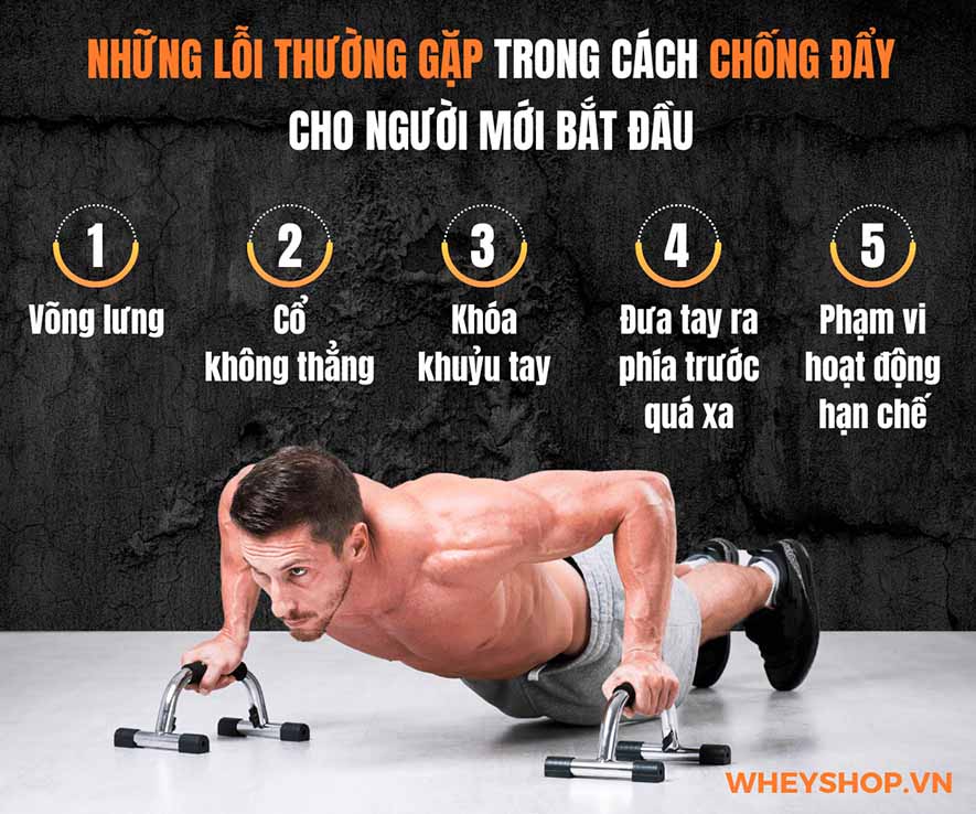 Nếu bạn đang tìm cách chống đẩy cho người mới tập thì hãy cùng WheyShop tham khảo chi tiết bài viết ngay sau đây...