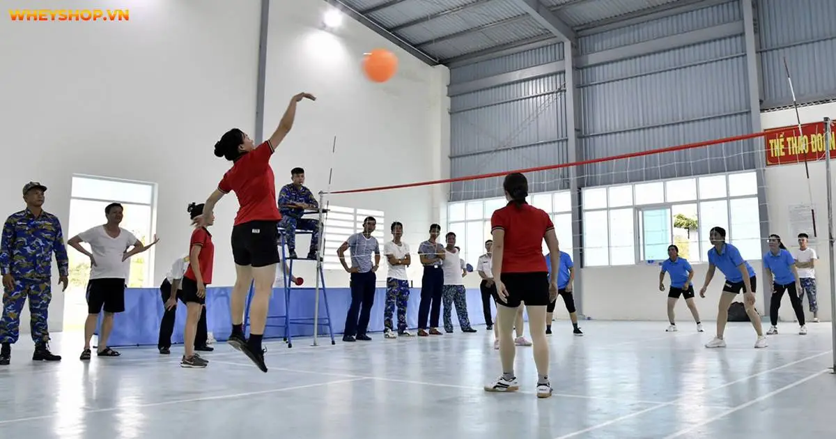 cach-dap-bong-chuyen-hoi-co-ban-cho-nguoi-moi-2