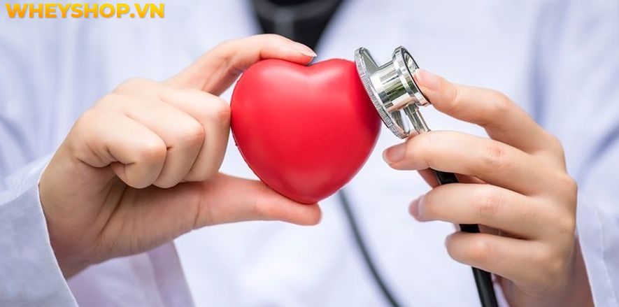 Nếu bạn đang băn khoăn tìm hiểu bột yến mạch mua ở đâu thì hãy cùng WheyShop tham khảo địa chỉ mua bột yến mạch giá rẻ, chất lượng tại Hà Nội TpHCM..