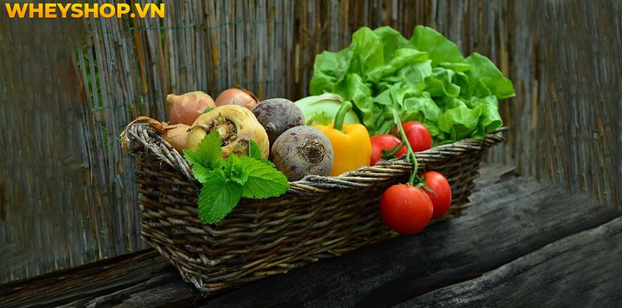 Giảm 10kg trong 1 tháng có an toàn không? Cùng WheyShop tìm hiểu cách giảm 10kg trong 1 tháng không dùng thuốc hiệu quả nhất qua bài viết...