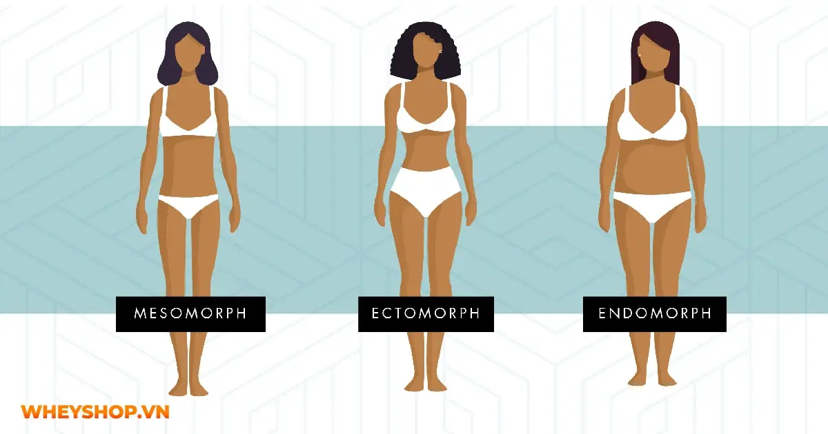 cach-giam-can-cho-tang-nguoi-endomorph-04-min