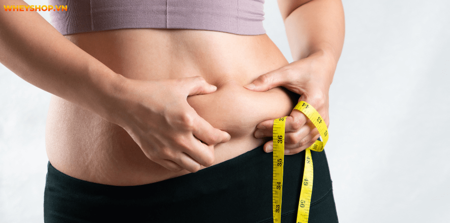 Nếu bạn đang có một thân hình cân đối, tuy nhiên dạng người dễ dàng béo bụng thì WheyShop ở đây để giúp đỡ bạn cách giảm mỡ bụng tại nhà hiệu quả trong 1...
