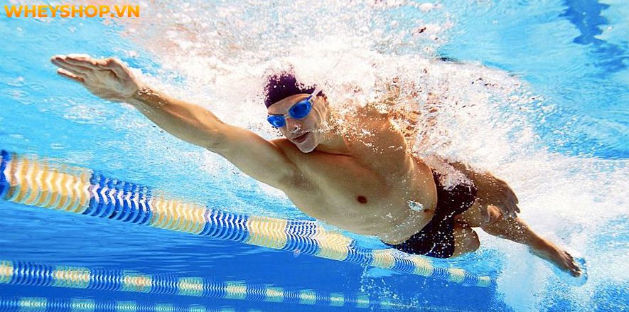 Tập bơi có thể là một hoạt động đầy sự căng thẳng và lo lắng đối với những người mới. Vậy xin mời bạn hãy cùng tìm hiểu ngay cách học bơi cho người mới bắt...