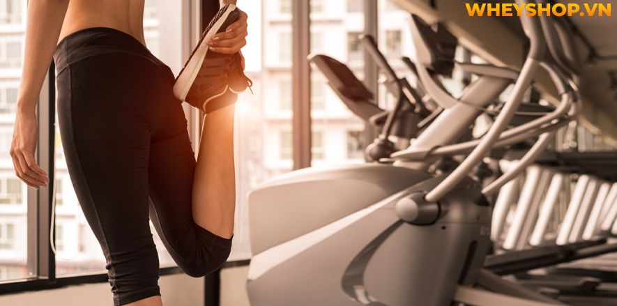 Tập bắp chân to tròn luôn là mơ ước của rất nhiều nam giới tập gym. Bắp chân to cân đối cùng cơ đùi, tạo dáng vẻ khỏe khoắn, nam tính. Tuy nhiên không phải...Thể dục nhịp điệu aerobic chắc hẳn không còn xa lạ gì đối với những người muốn giảm cân, giảm mỡ nhanh chóng ở Việt Nam. Tuy nhiên, bạn có biết thực chất tập...