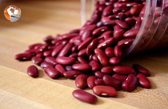 cach-lam-bot-dau-dinh-duong-cho-nguoi-tap-hinh