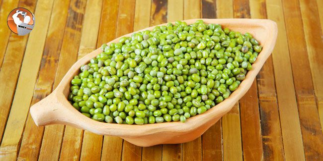 cach-lam-bot-dau-dinh-duong-cho-nguoi-tap-hinh