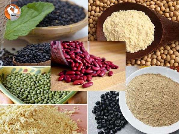 cach-lam-bot-dau-dinh-duong-cho-nguoi-tap-hinh5_compressed (1)`