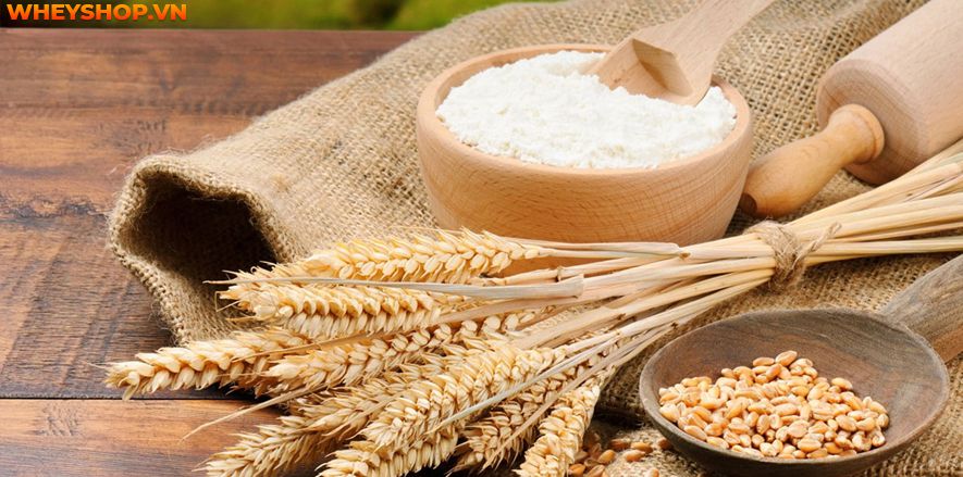 Giảm cân bằng bột ngũ cốc là một trong những phương pháp được nhiều chị em áp dụng. Dưới đây là cách làm bột ngũ cốc giảm cân đơn giản tại nhà, ai làm cũng...