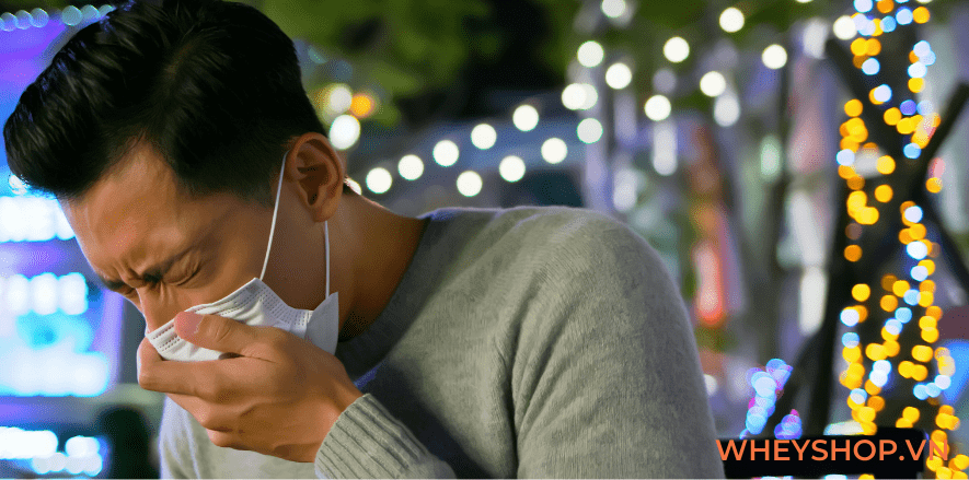 Có nhiều cách chế biến cá sốt cà chua tùy theo vùng miền và loại cá được sử dụng trong chế biến. Bài viết dưới đây WheyShop giúp các bạn học cách chế biến...